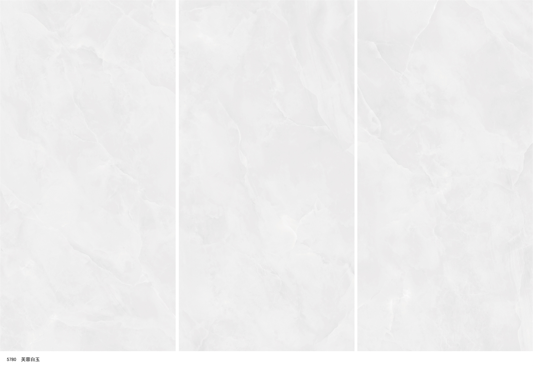 5780 芙蓉白玉.jpg