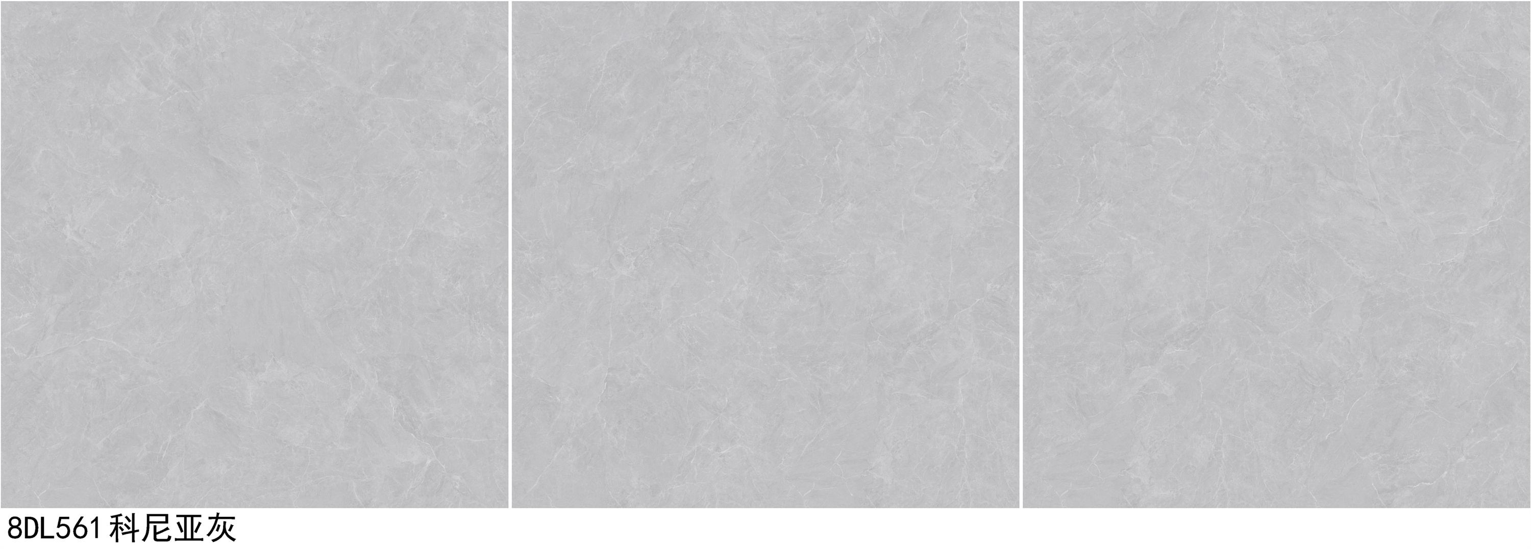 8DL561 科尼斯灰.jpg