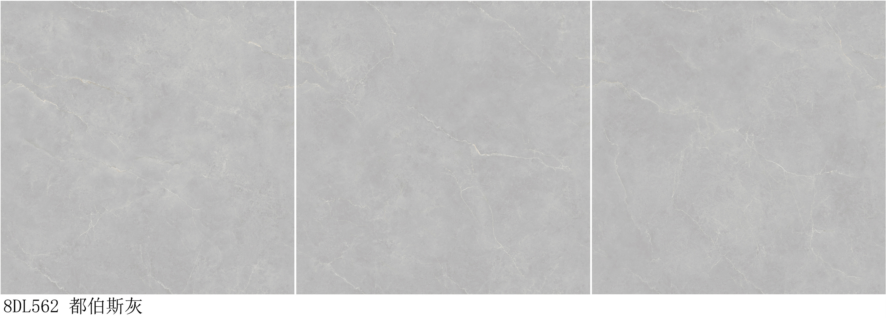 8DL562 都伯斯灰.jpg