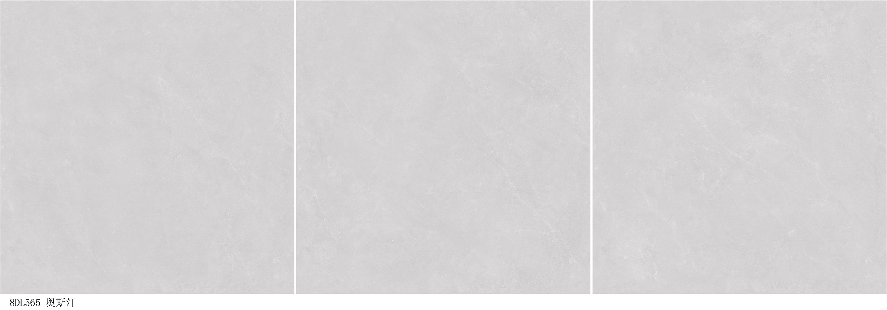 8DL565 奥斯丁灰.jpg