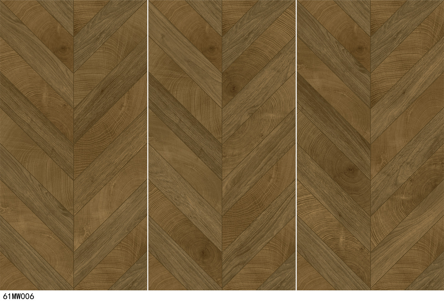 61MW006 - 副本.jpg