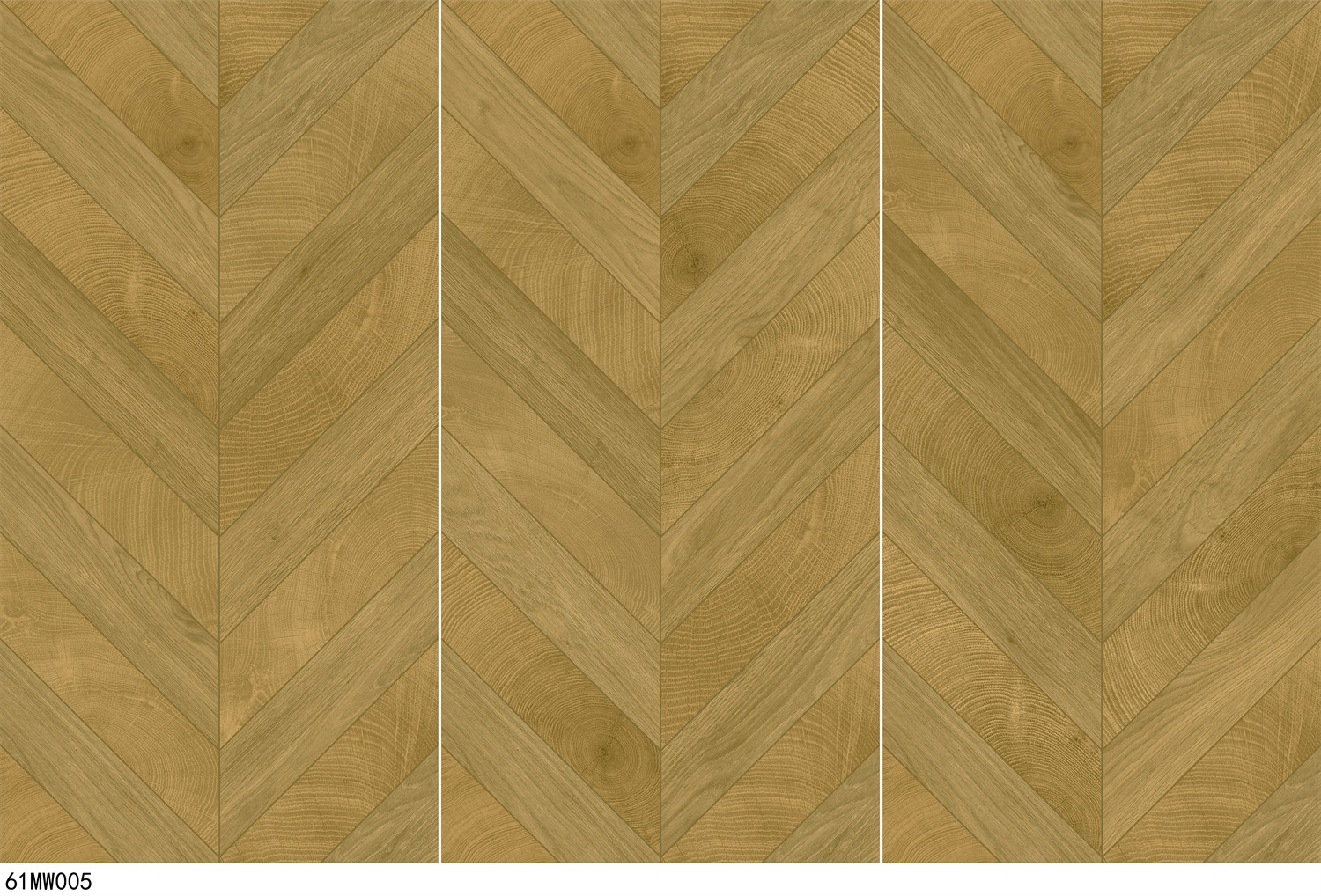 61MW005 - 副本.jpg