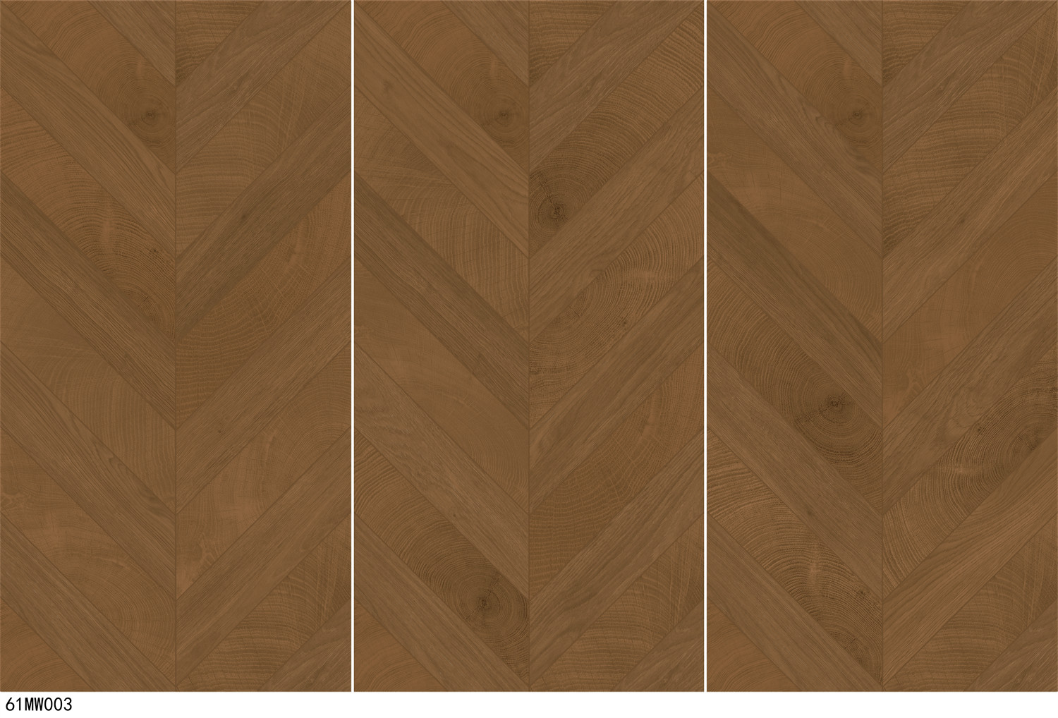 61MW003 - 副本.jpg