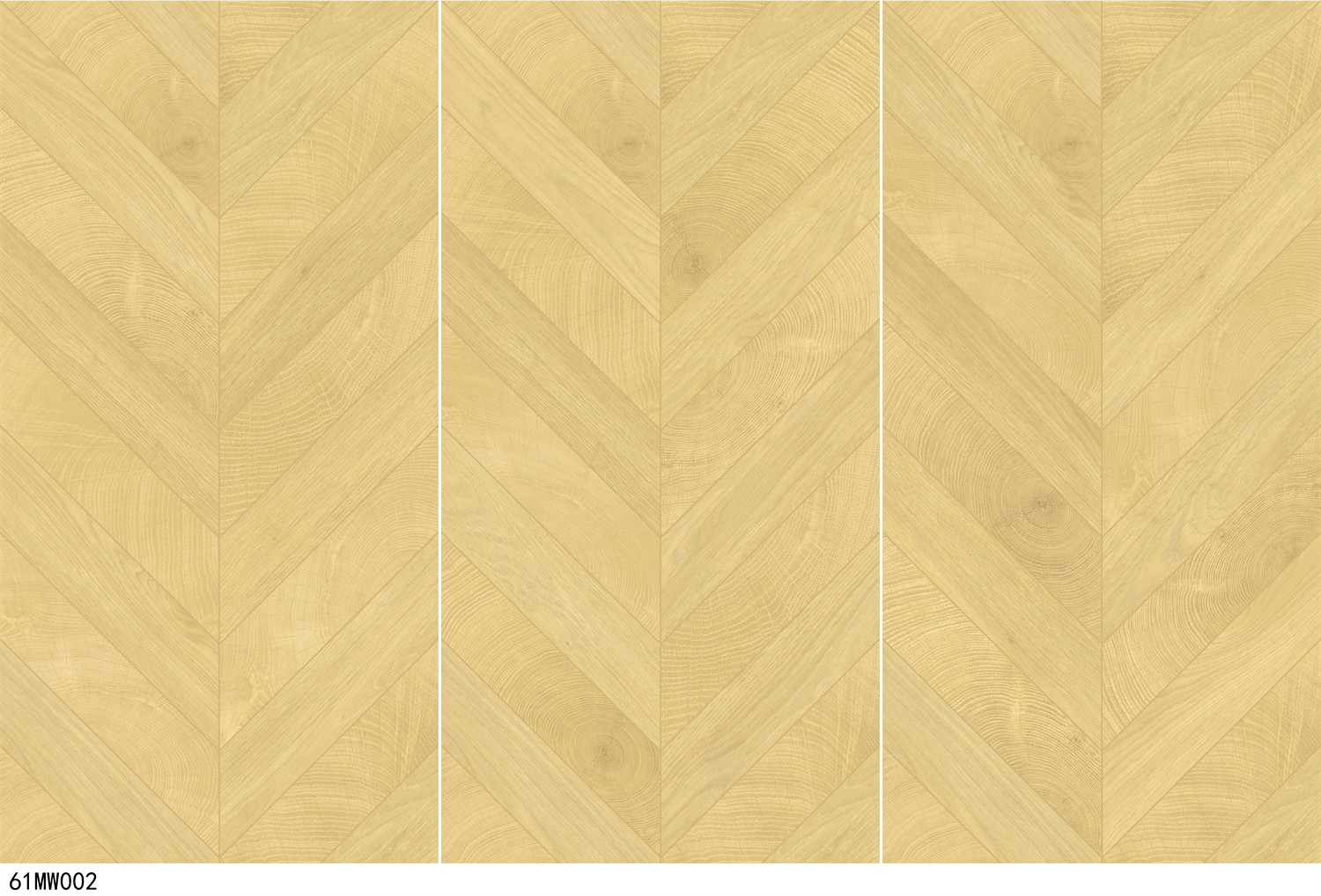 61MW002 - 副本.jpg