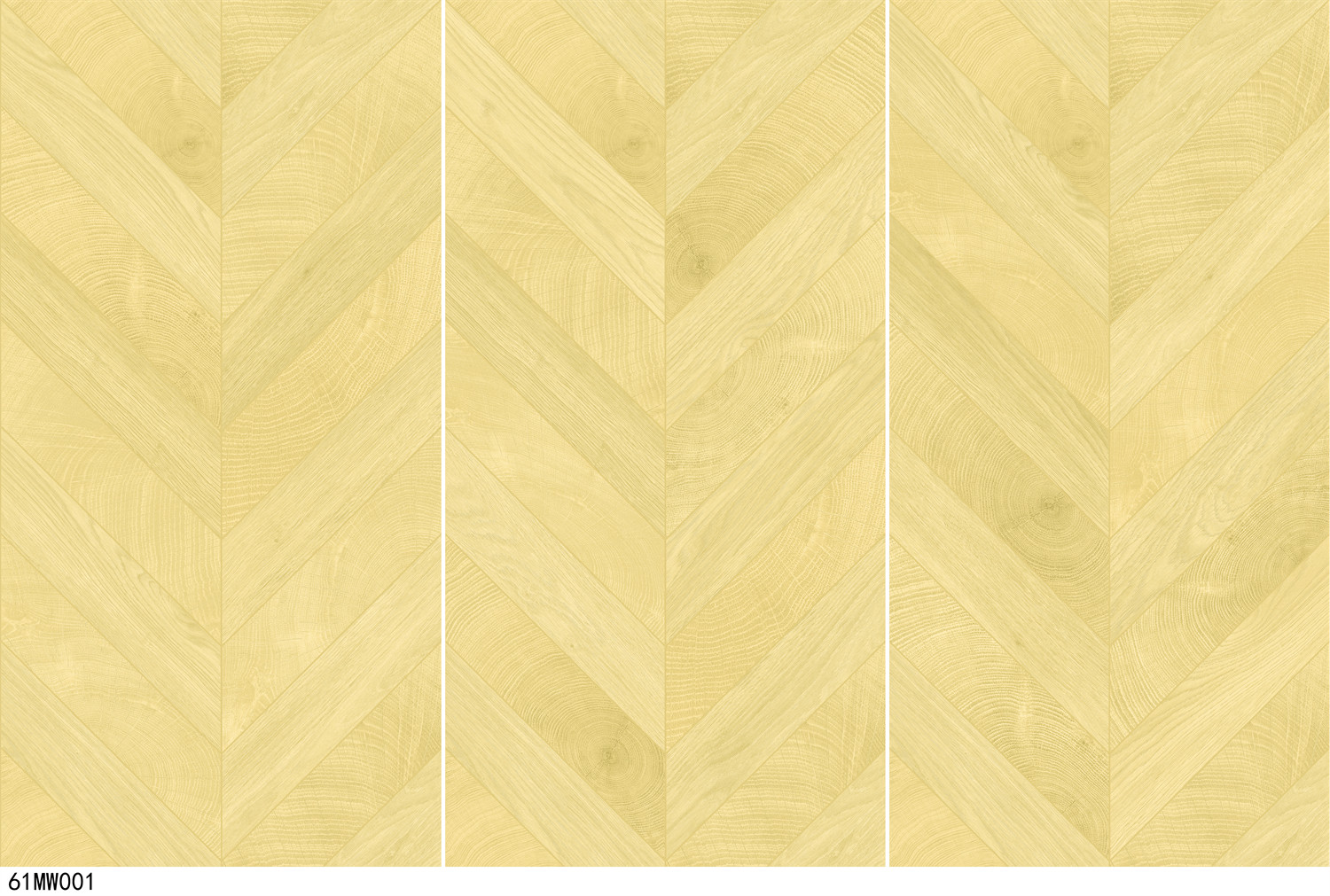 61MW001 - 副本.jpg